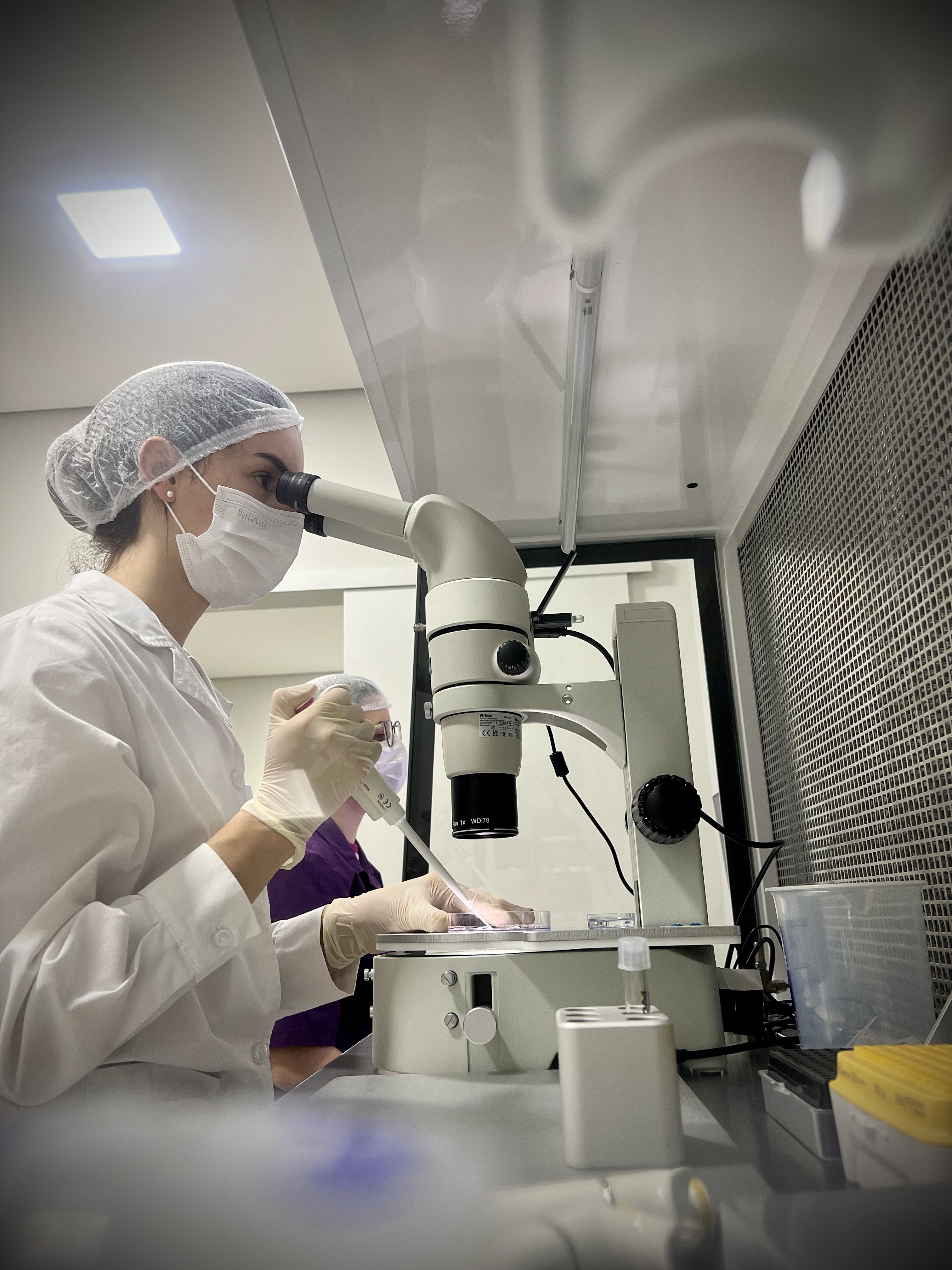 Trabajo en laboratorio